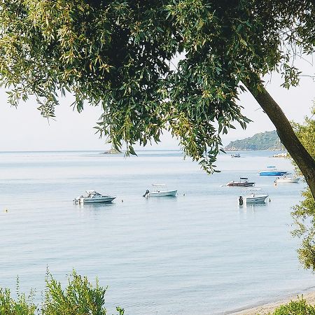 Maria Studios Skiathos Exteriör bild