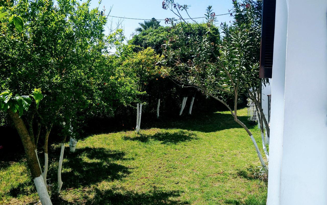 Maria Studios Skiathos Exteriör bild