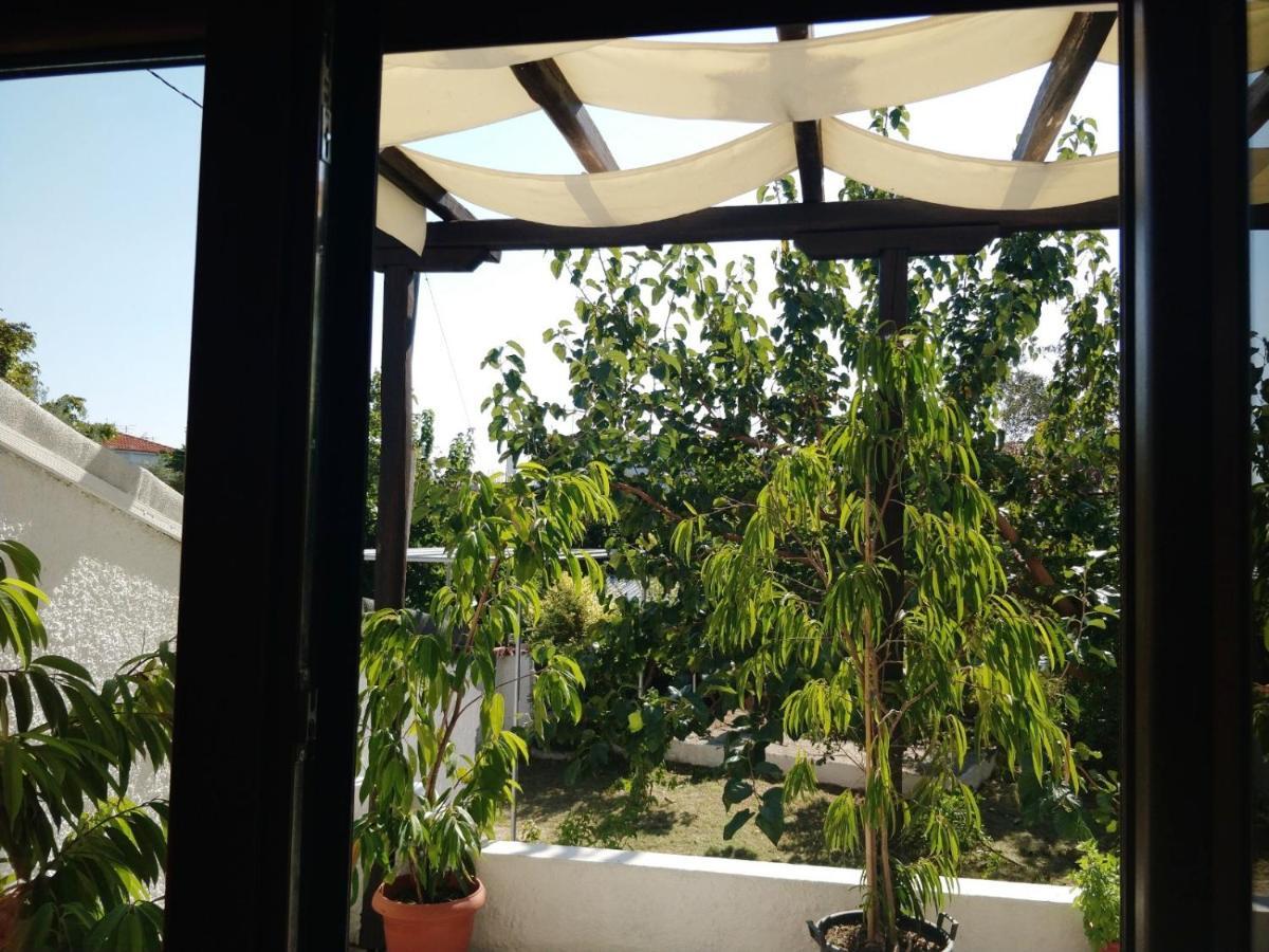Maria Studios Skiathos Exteriör bild
